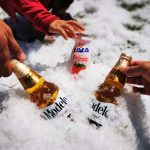 Cerveza